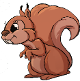 squirrel_img